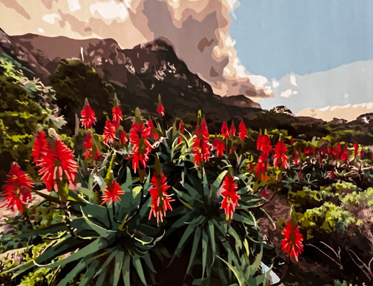 Table Mountain's Aloes